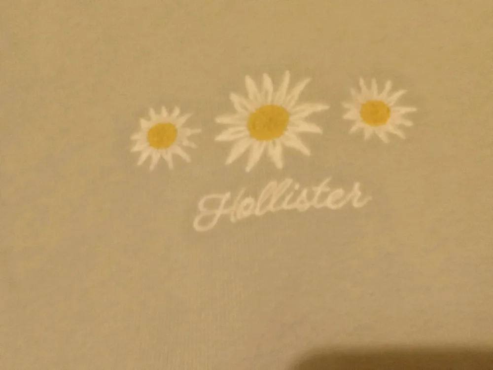 Hollister Hoodies, Excellent, size S / 36 / 8, photo 2