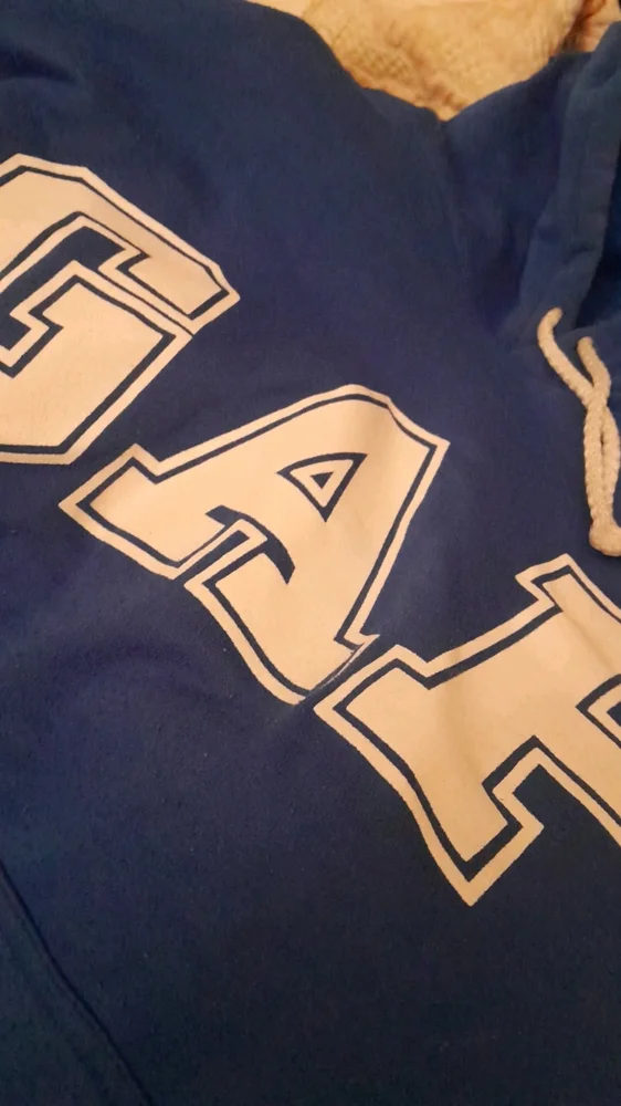 GAP Hoodies, Very good, size M / 38 / 10, photo 2