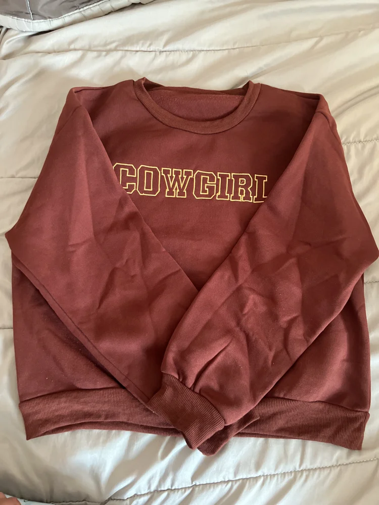 Shein Sweatshirts, Excellent, size M / 38 / 10, photo 2