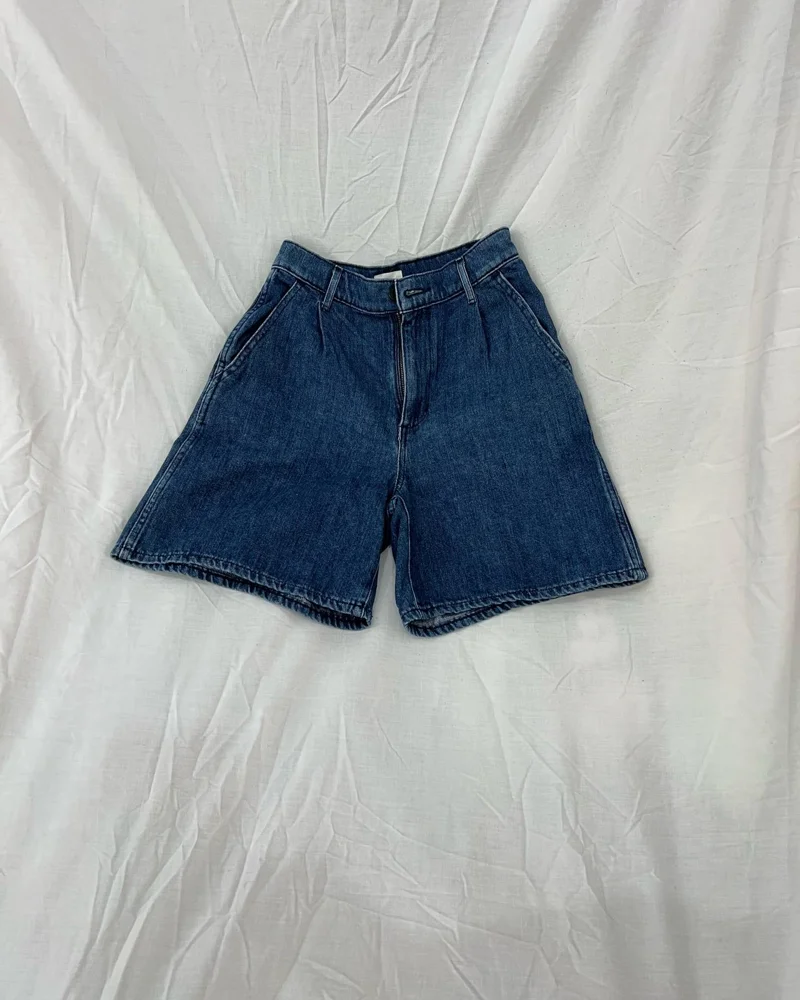 Aritzia Shorts