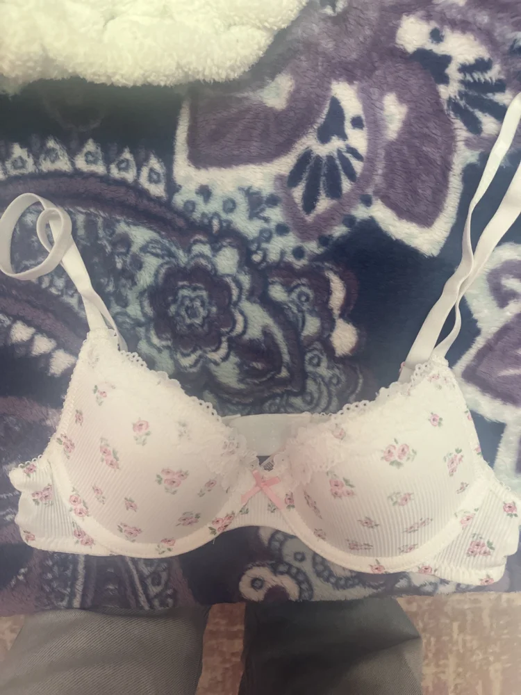 Max Bras