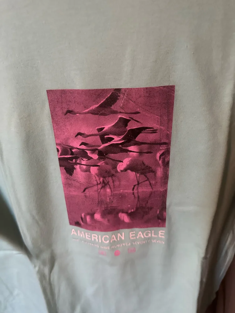 American Eagle T-shirts, size M / 38 / 10, photo 3
