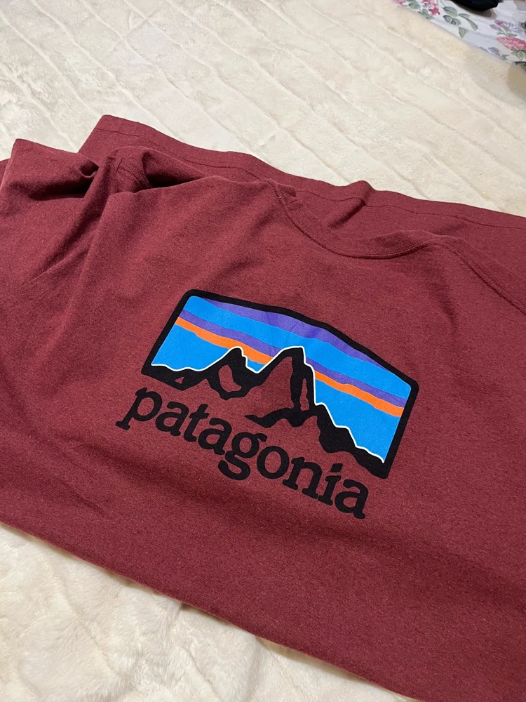 Patagonia T-shirts, size XXL, photo 6