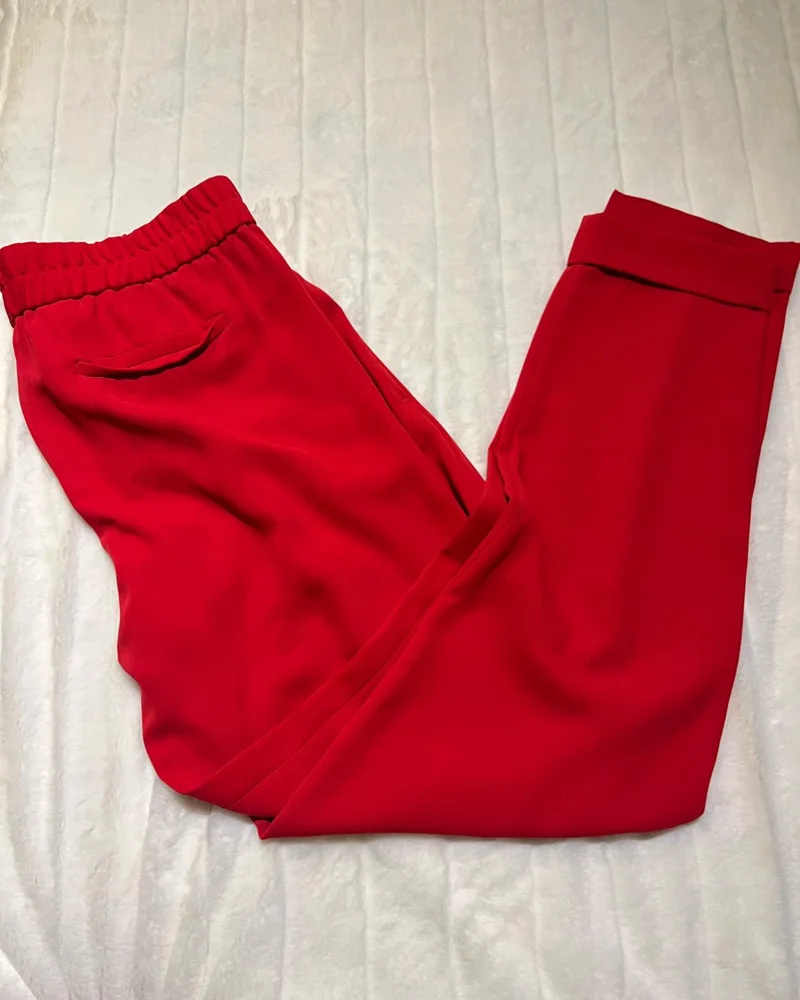 Massimo Dutti Pants