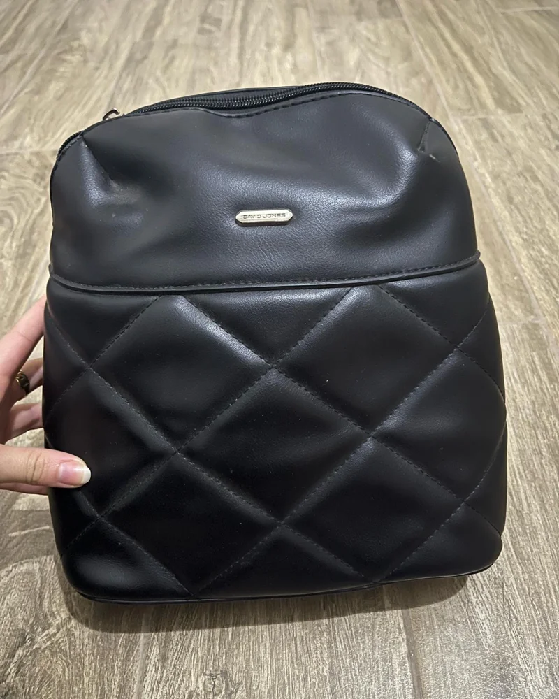 David Jones Backpacks
