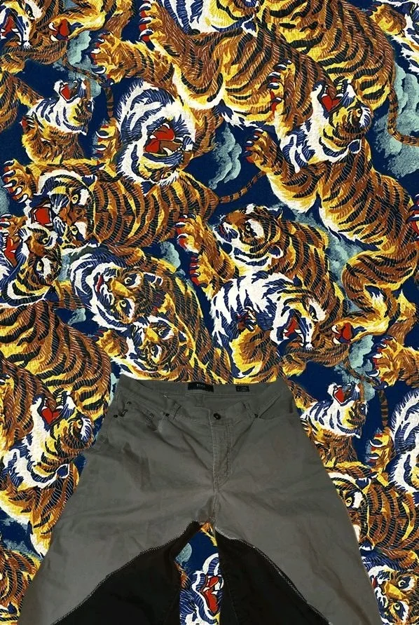 BRAX Pants, size XL, photo 2