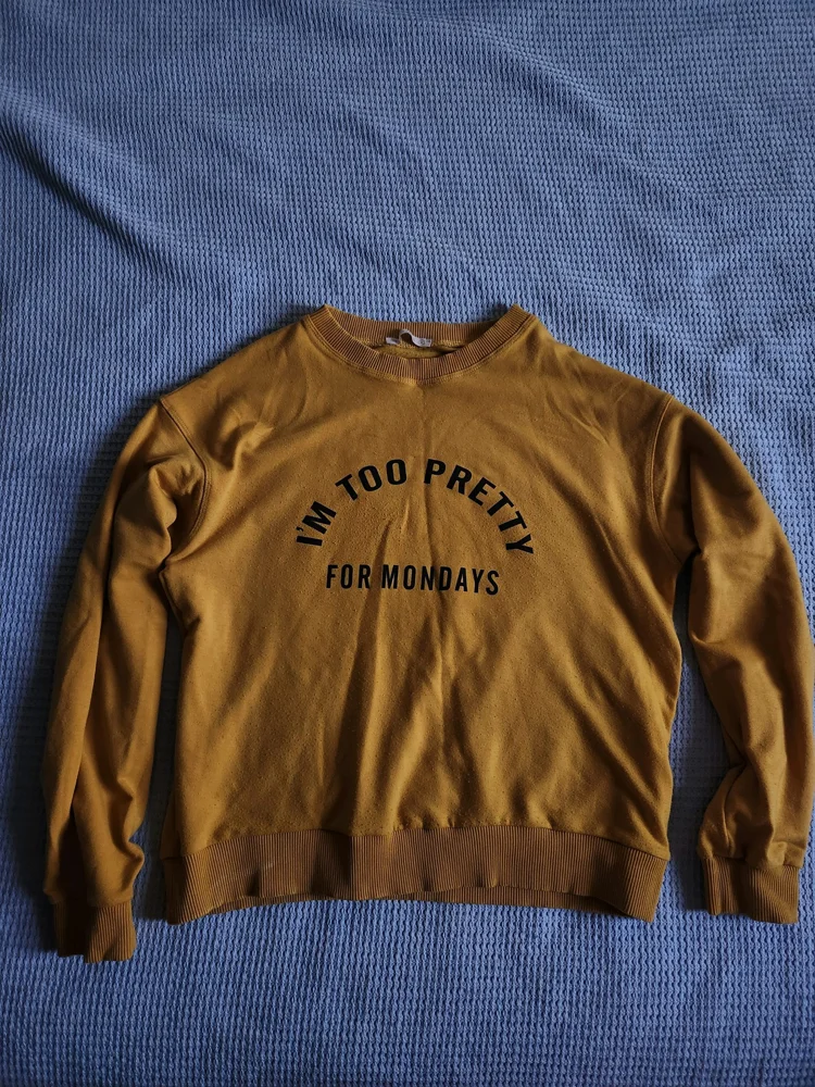 Rojada Sweaters & Pullovers