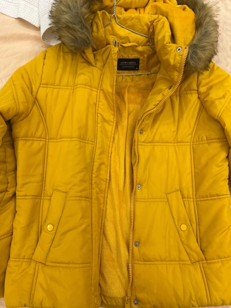 LC Waikiki Jackets