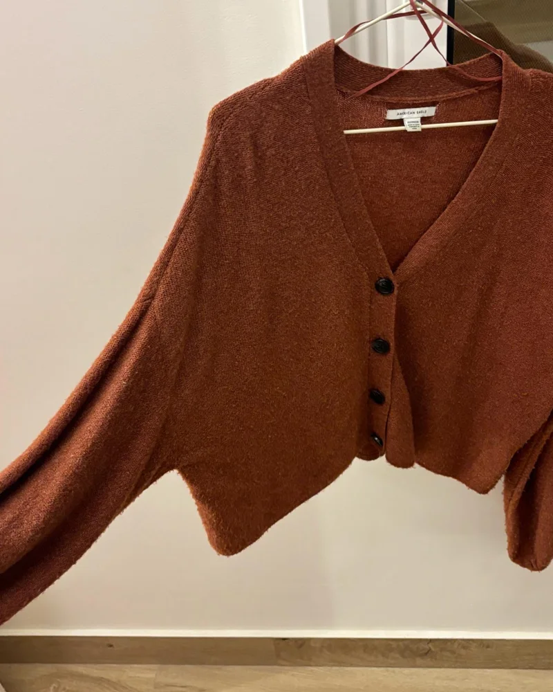 American Eagle Sweaters & Pullovers