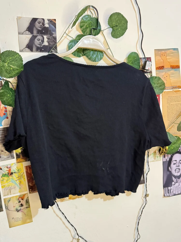 Max Crop Tops, Excellent, size XXL / 44 / 16, photo 4