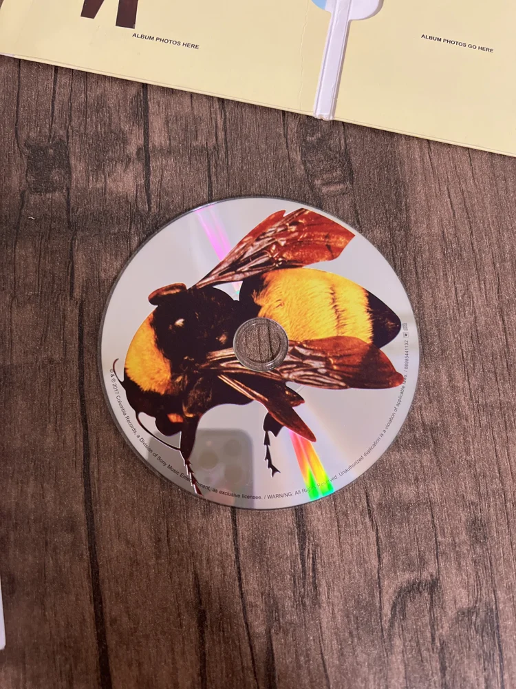 Music, size Other, photo 5