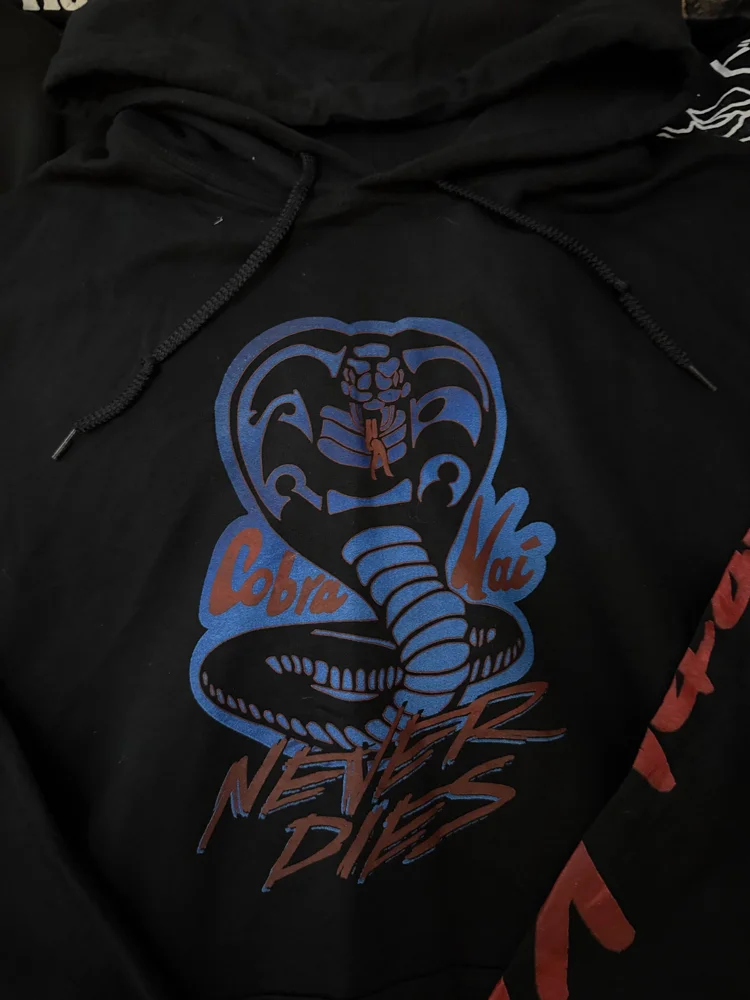 Hoodies, Excellent, size L, photo 2