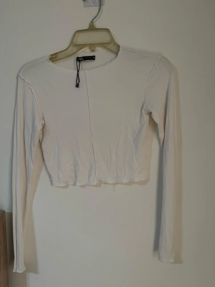 Zara Crop Tops