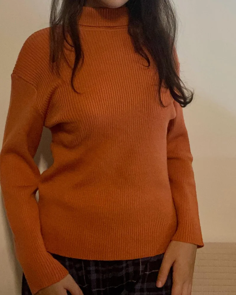 Sweaters & Pullovers