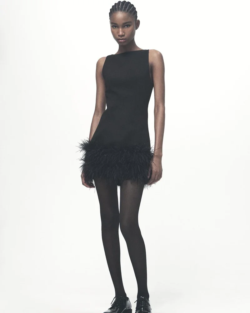 Zara Mini Dresses