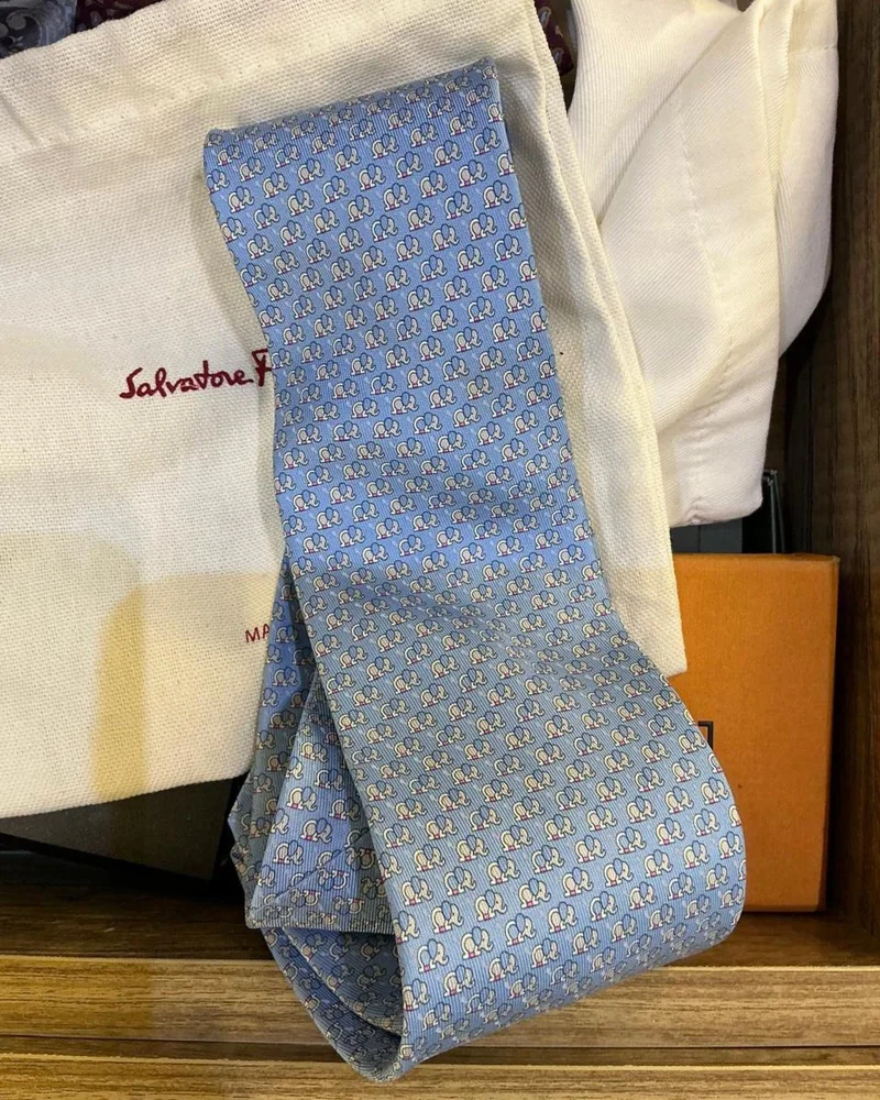 Salvatore Ferragamo إيشاربات