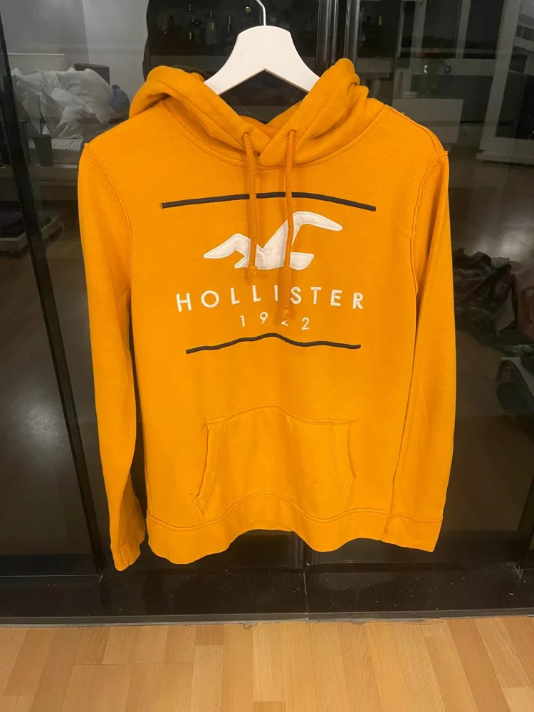 Hollister & Co هودي