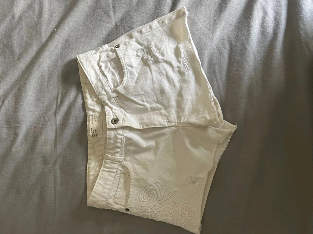 Zara Shorts