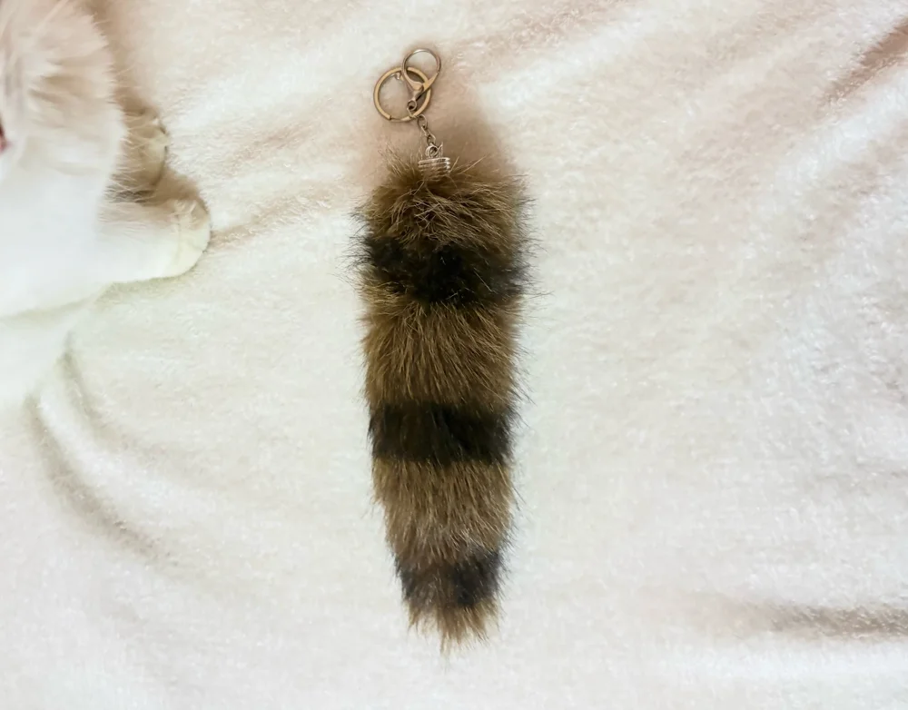 Shein Accessories, Excellent, one size, photo 3