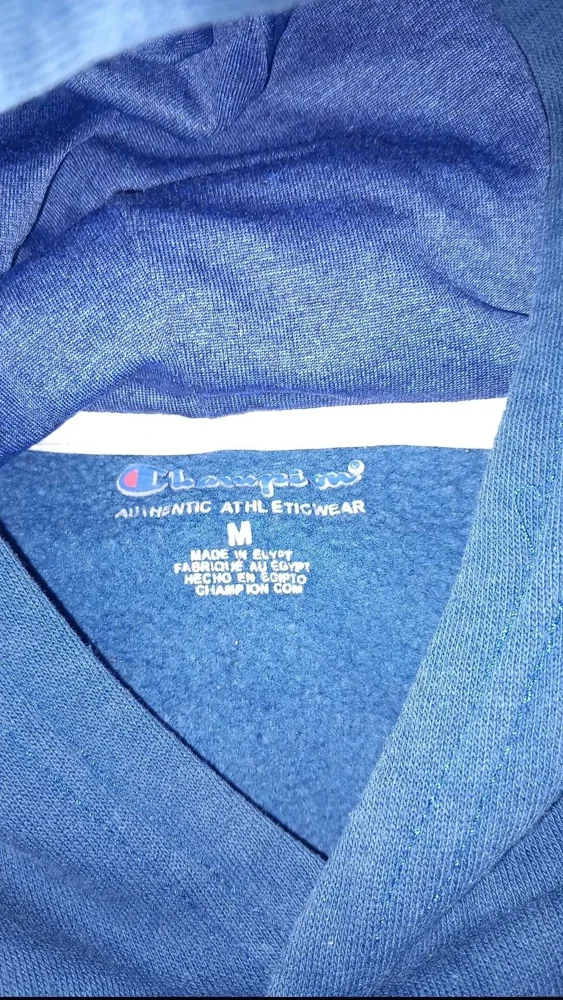 Champion Hoodies, Excellent, size M, photo 3