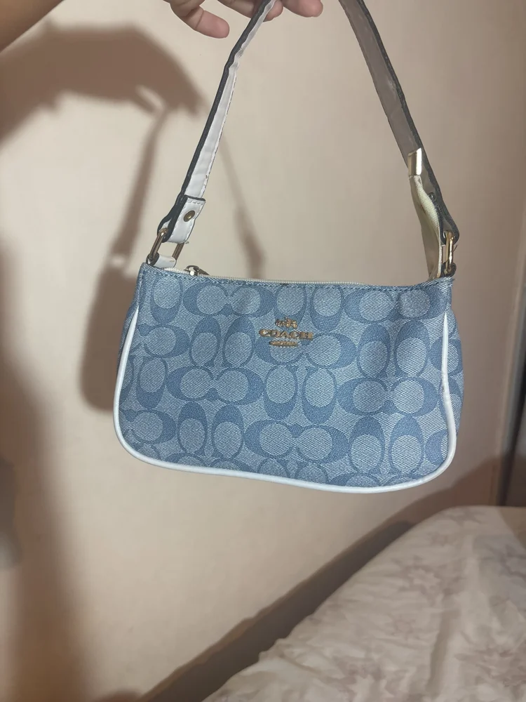 Coach Mini Bags