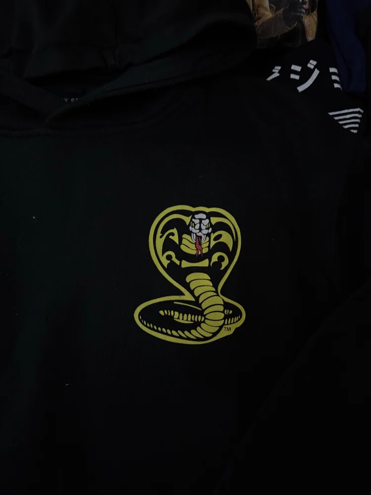 Hoodies, Excellent, size M, photo 2
