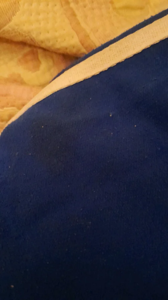 GAP Sweatpants, Very good, size M / 38 / 10, photo 5