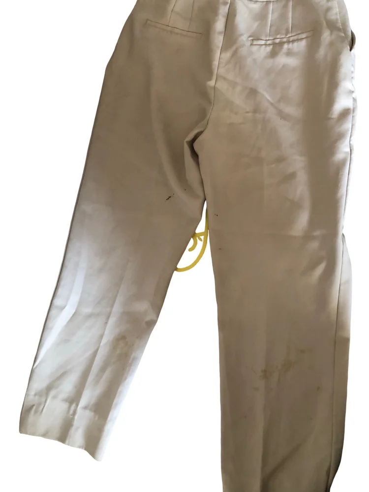 Zara Pants, Good, size L / 40 / 12, photo 2