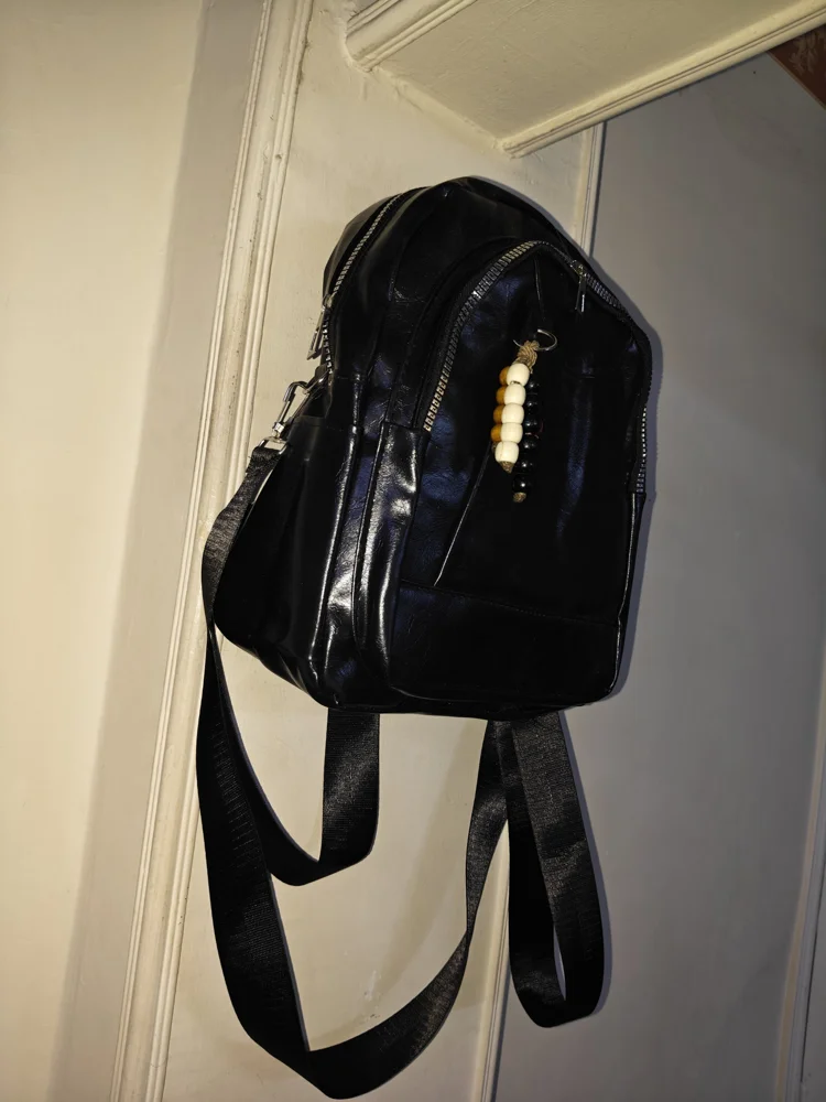 Backpacks, New with tags, photo 2