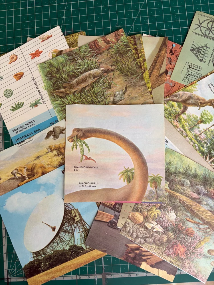 Magazines, Excellent, photo 3