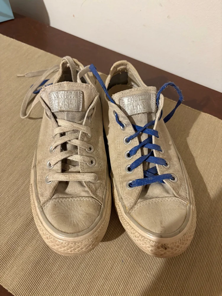Converse Sneakers
