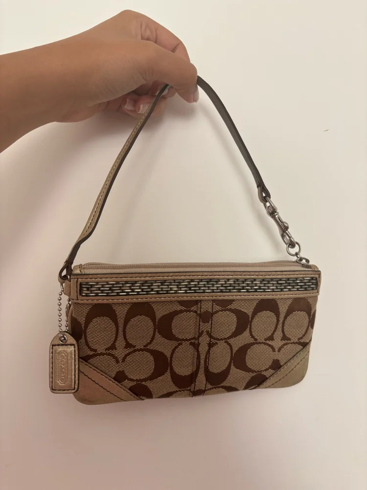 Coach Mini Bags