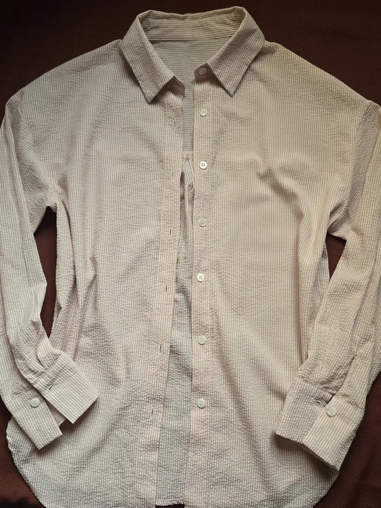 Dazy Shirts