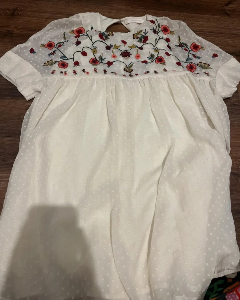 Zara Mini Dresses