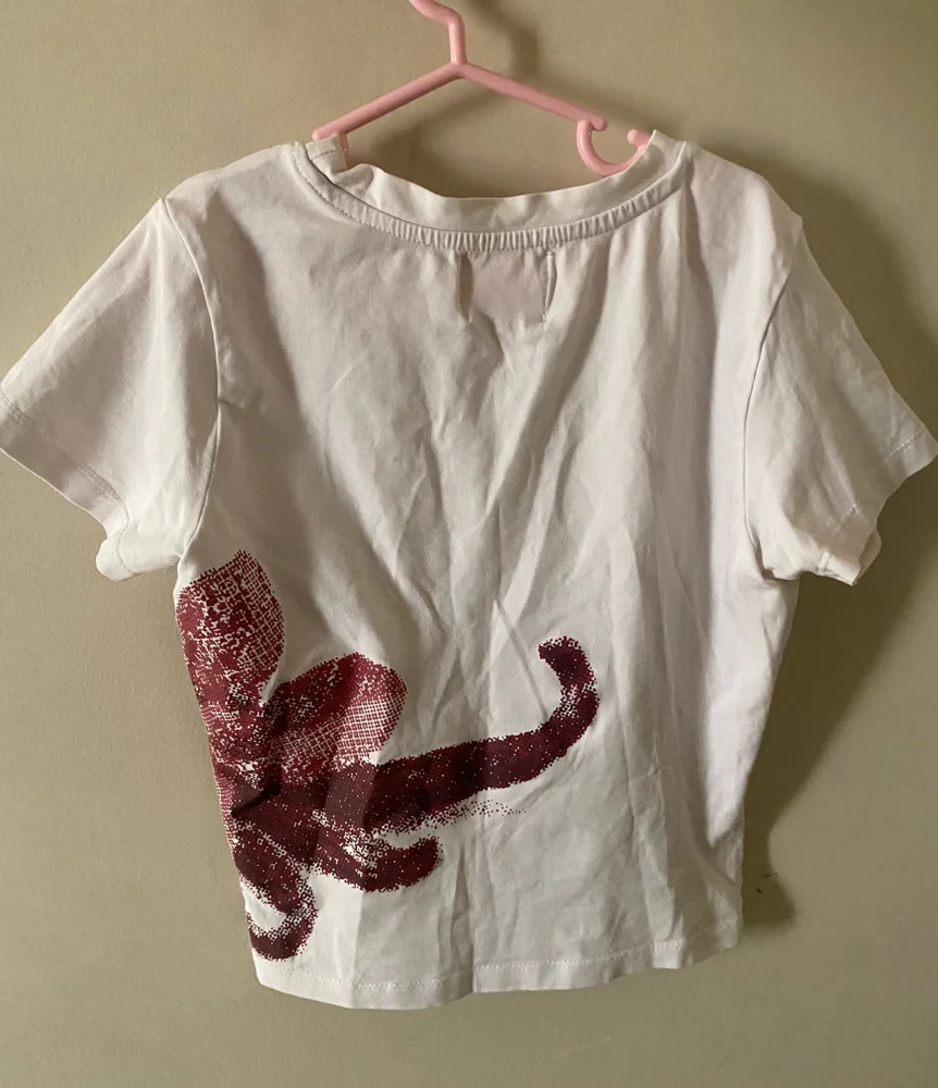 local brands Crop Tops, size S / 36 / 8, photo 3