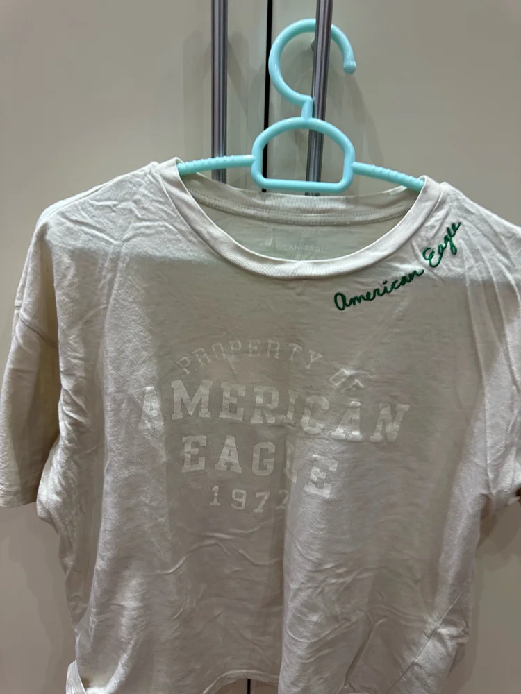American Eagle T-shirts, Very good, size M / 38 / 10, photo 2