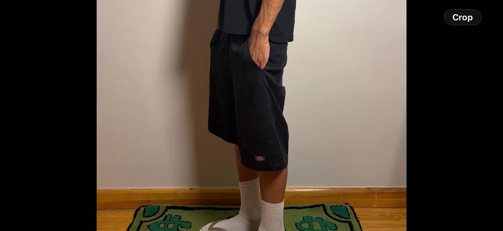 Dickies Shorts