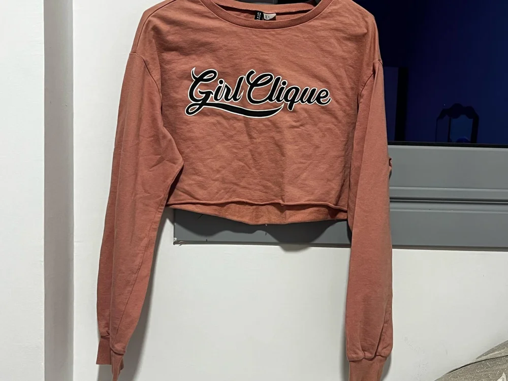 H&M Sweatshirts