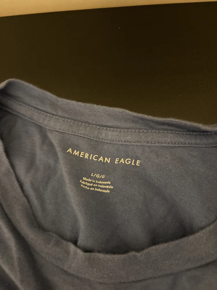 American Eagle Long Sleeve, Very good, size L / 40 / 12, photo 3