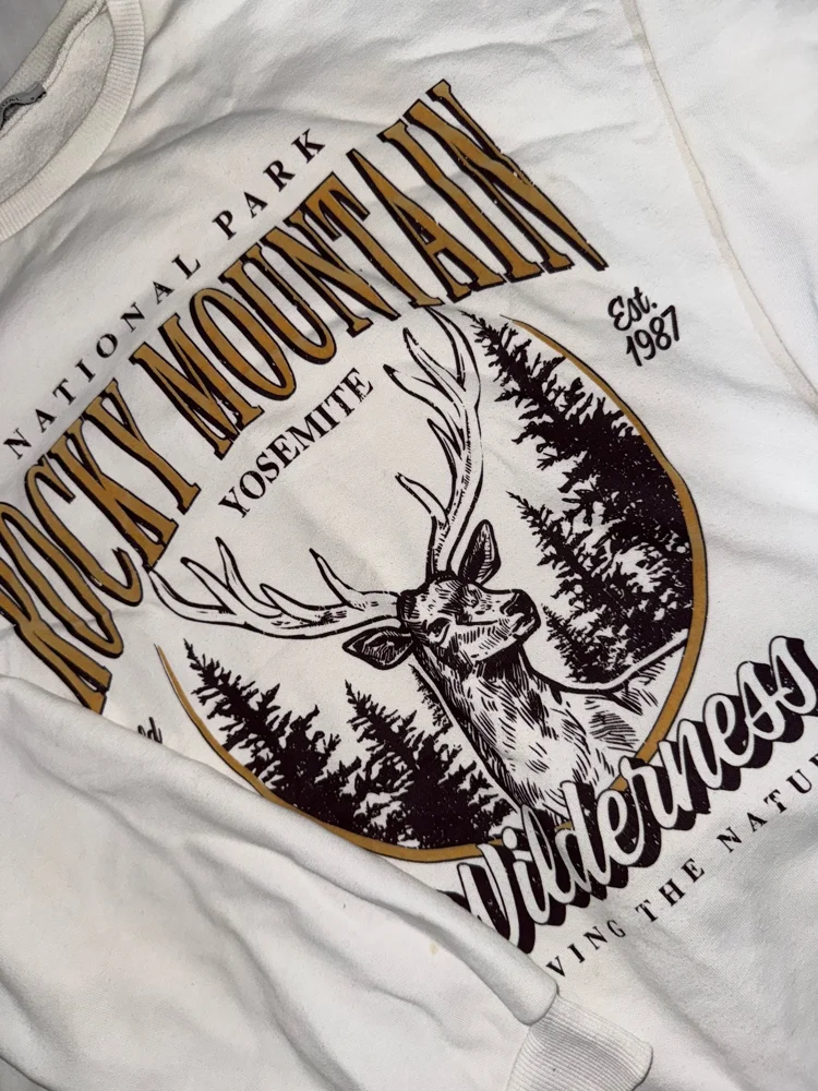 LC Waikiki Sweatshirts