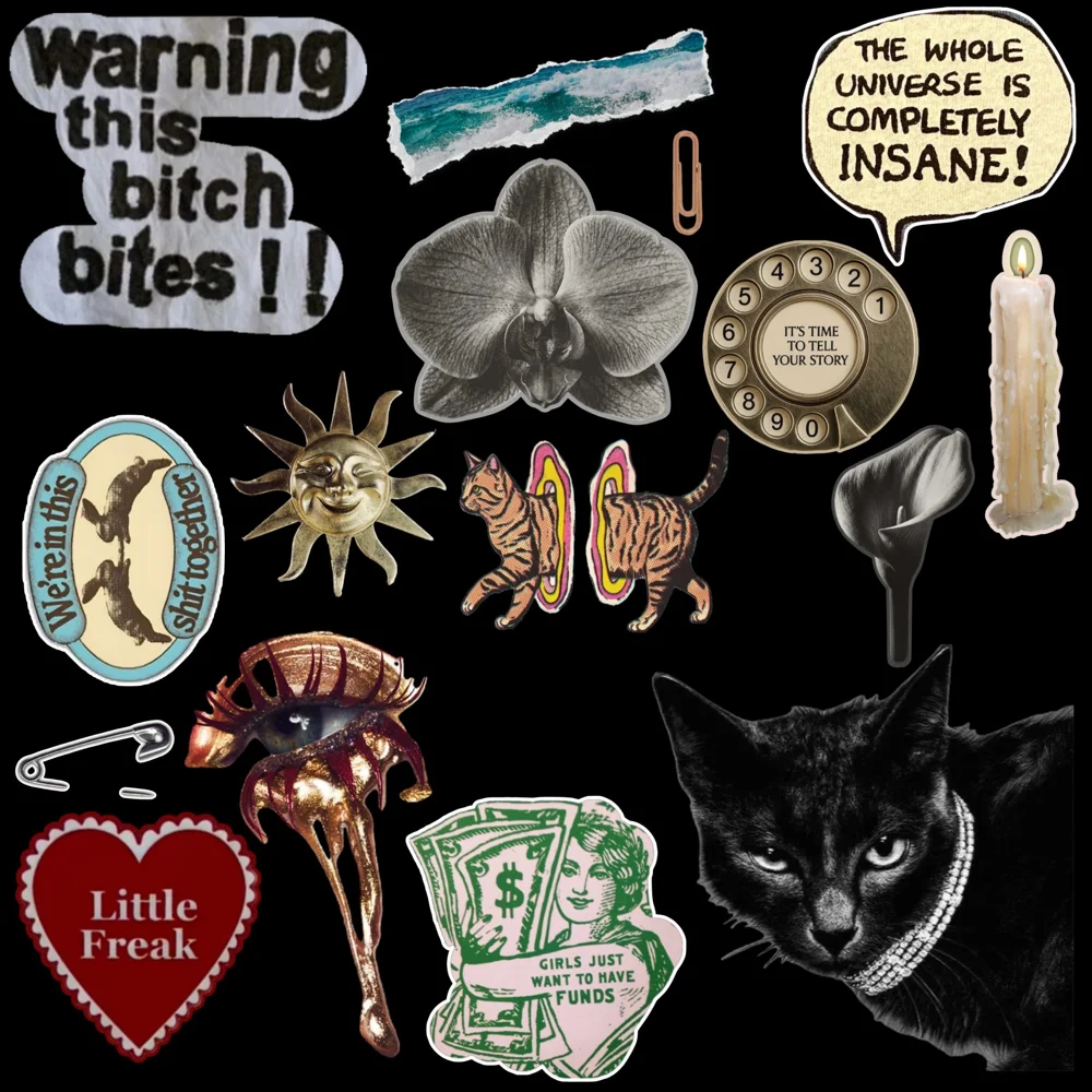 Phone Cases, size Other, photo 5