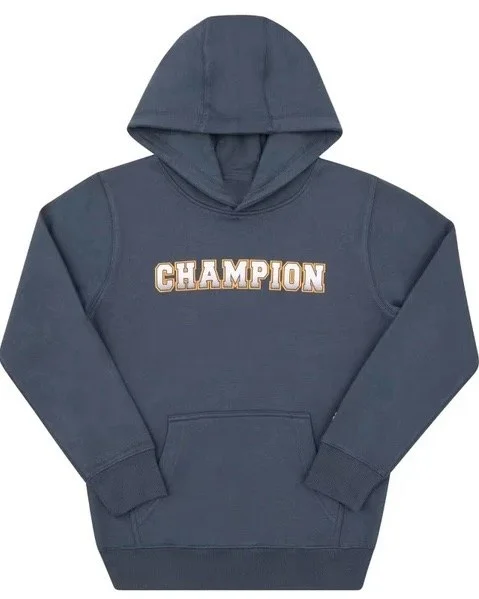 Champion Hoodies, size S