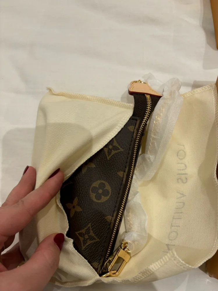 Louis Vuitton Mini Bag