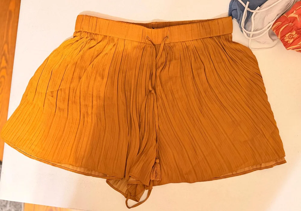 Zara Shorts