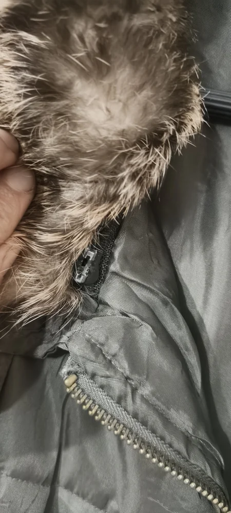 Pauline B. Jackets, Excellent, photo 3