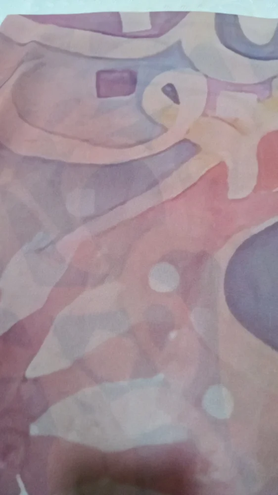 Mira Scarves & Shawls, Excellent, photo 3
