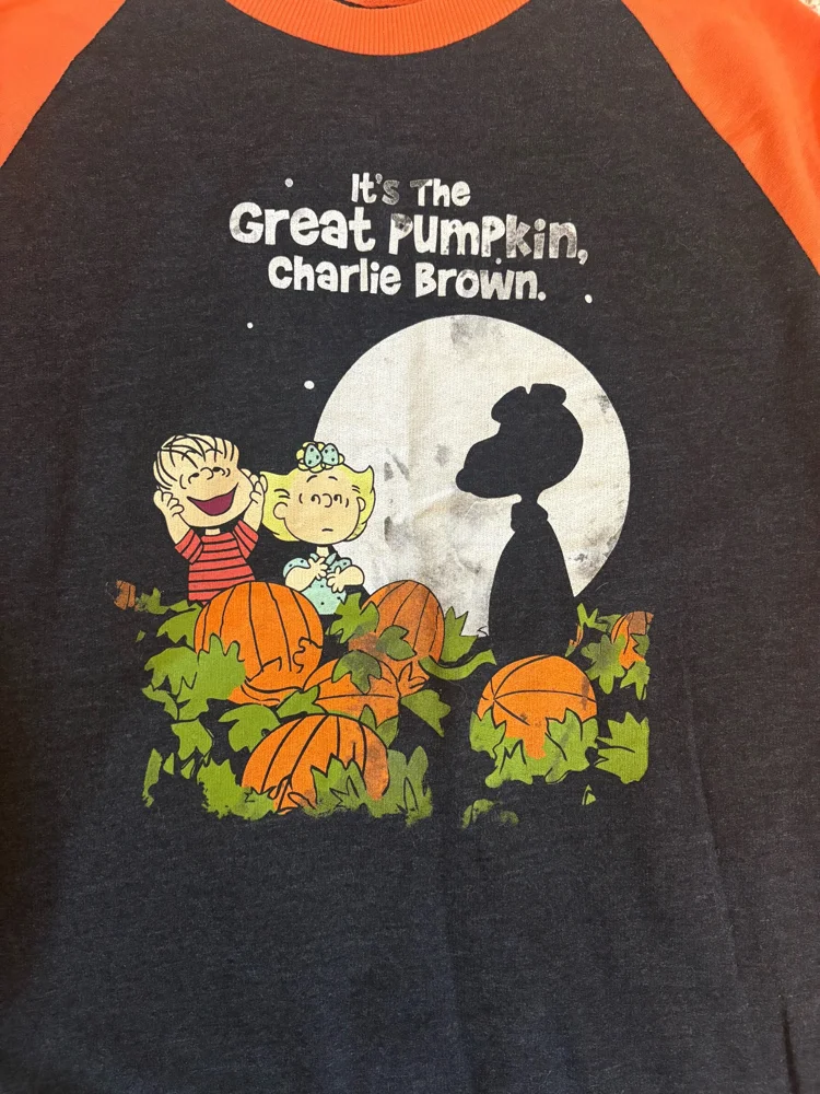 Peanuts Sweatshirts, Excellent, size M / 38 / 10, photo 2