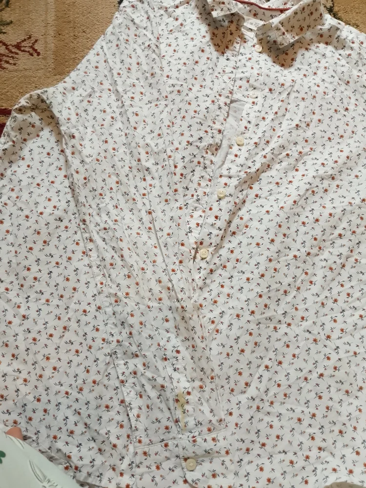 Springfield Shirts, Excellent, size M / 38 / 10, photo 2