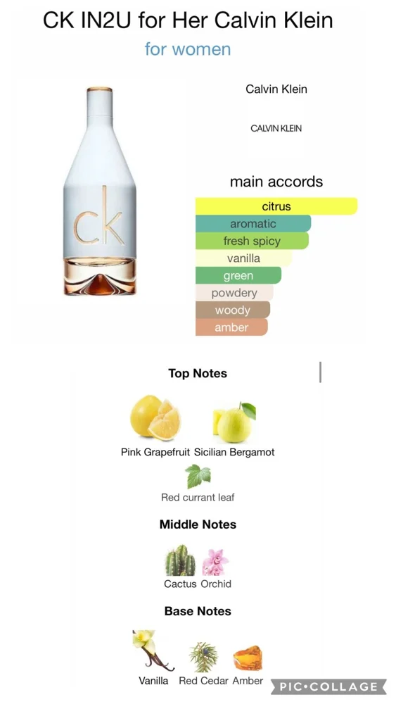 Calvin Klein Perfume, size Other, photo 4
