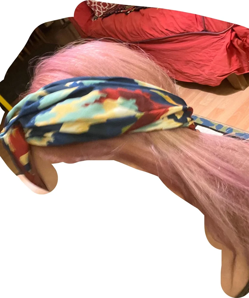 Zara Hair Accessories